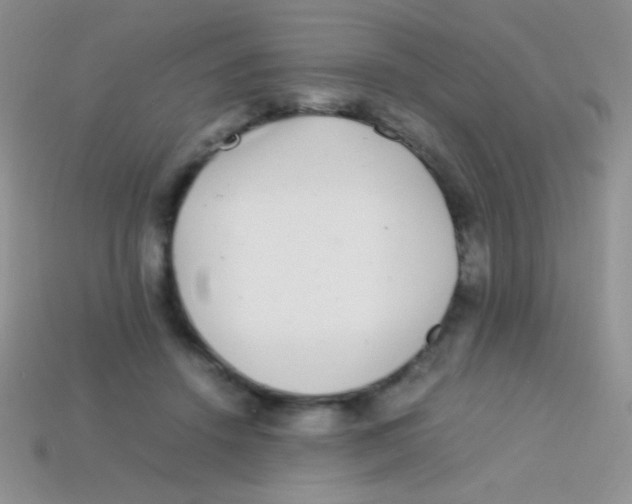 X0000113640456200910162041