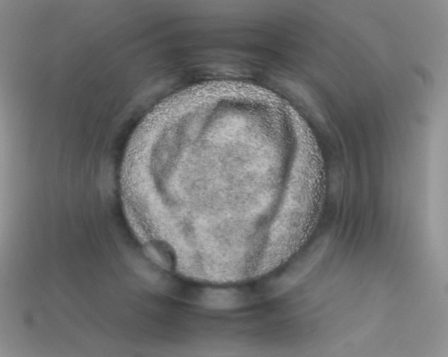 X0000113640457200910162041