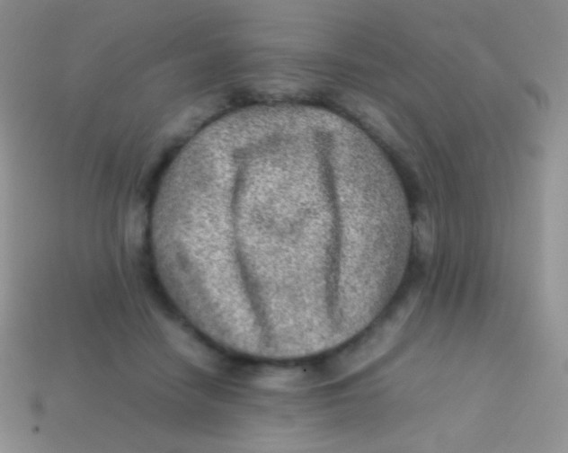 X0000113640458200910162041