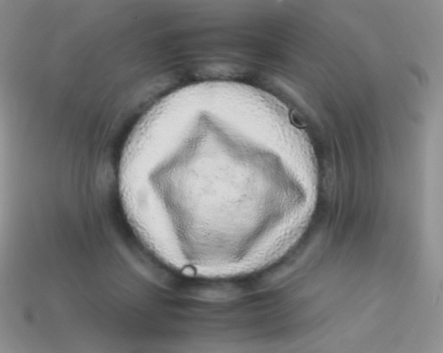 X0000113640459200910162041