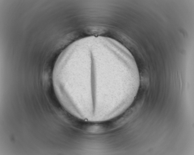 X0000113640460200910162041