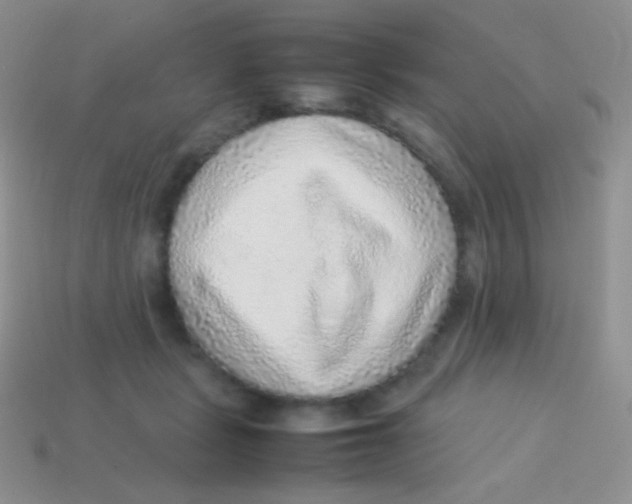 X0000113640461200910162041