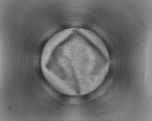 X0000113640462200910162041