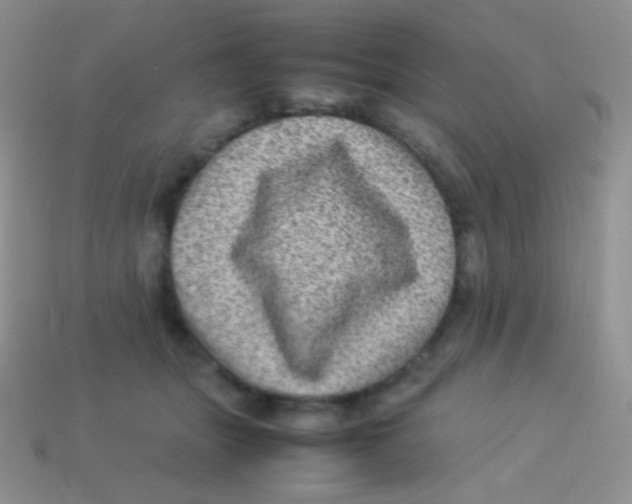 X0000113640463200910162041