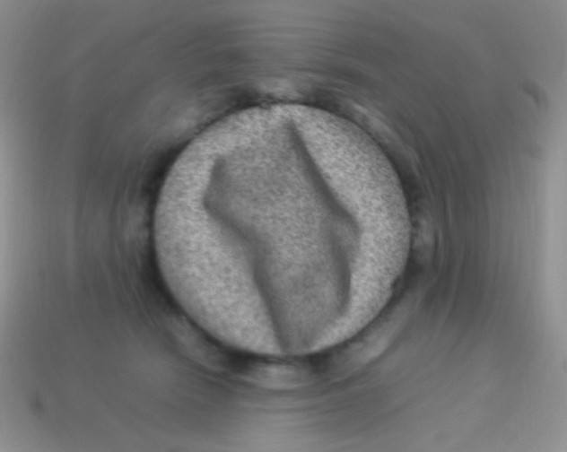 X0000113640466200910162041