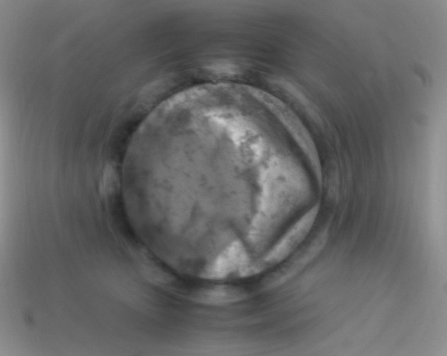 X0000113640467200910162041