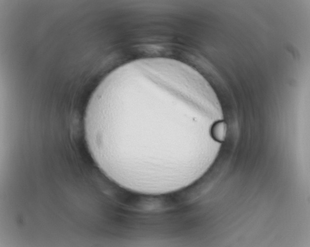 X0000113640469200910162041