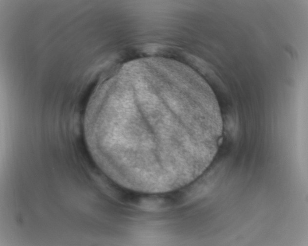 X0000113640470200910162041