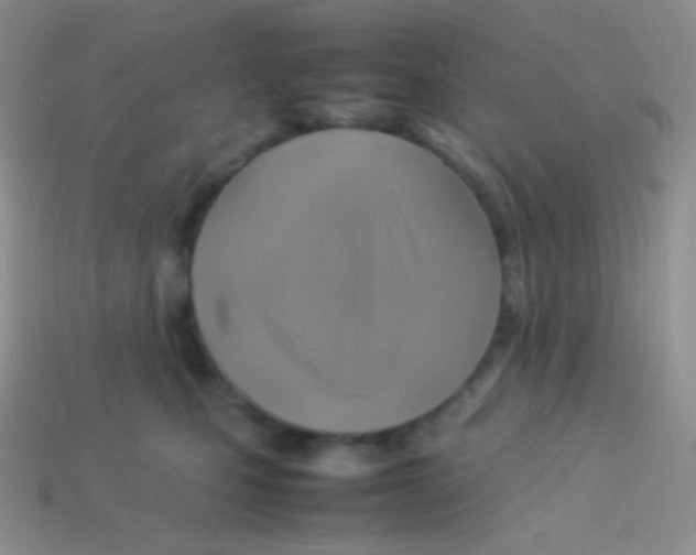 X0000113640471200910162041