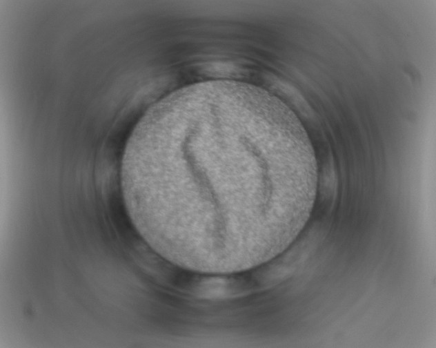 X0000113640473200910162041