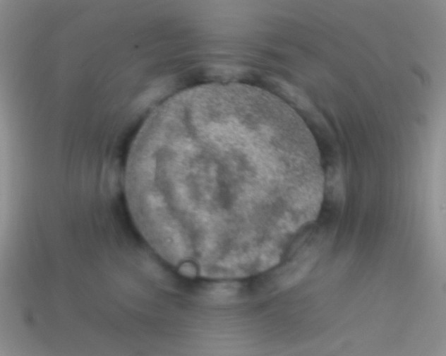 X0000113640474200910162041