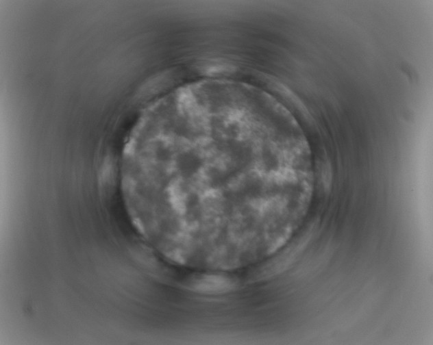 X0000113640475200910162041