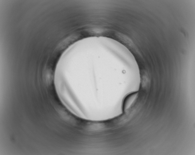 X0000113640476200910162041