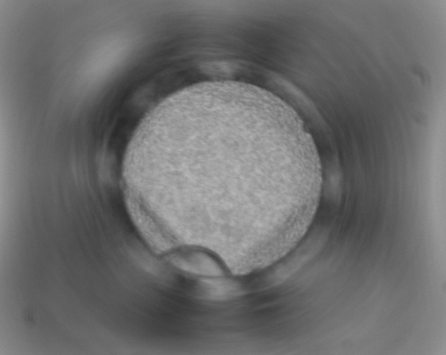 X0000113640477200910162041