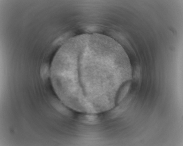 X0000113640478200910162041