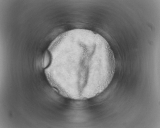 X0000113640479200910162041