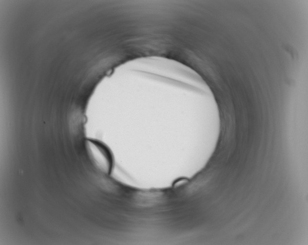 X0000113640480200910162041