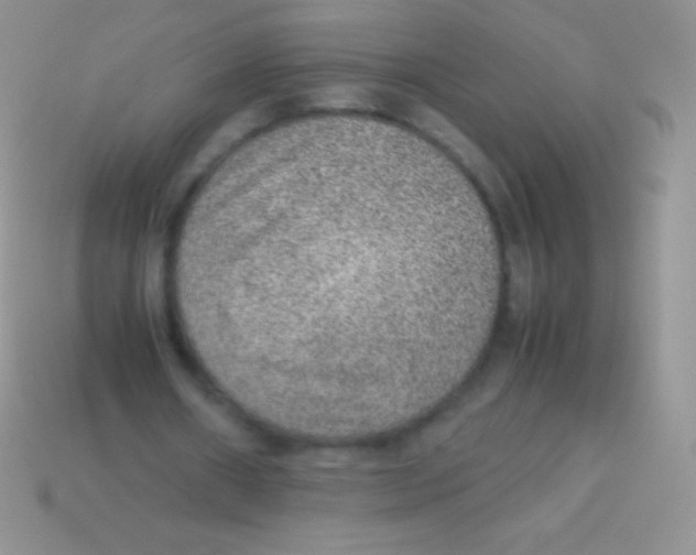 X0000113640482200910162040