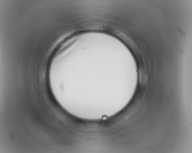 X0000113640483200910162040