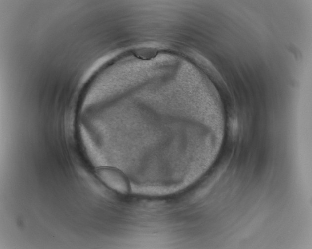 X0000113640484200910162040