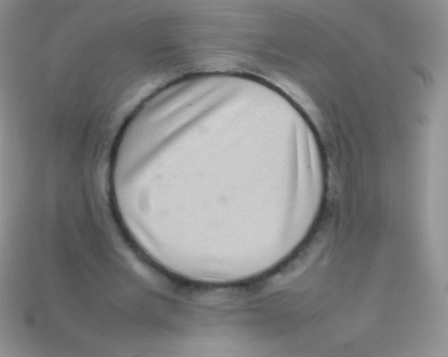 X0000113640485200910162040