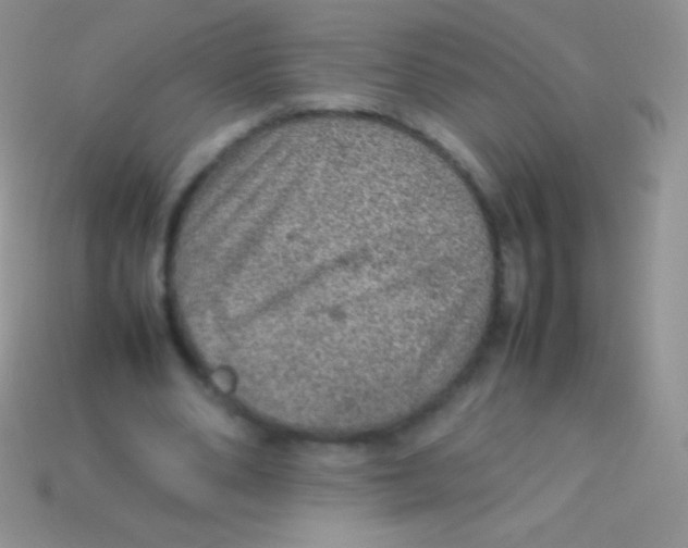 X0000113640486200910162040