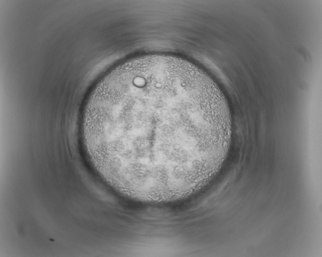 X0000113640487200910162040