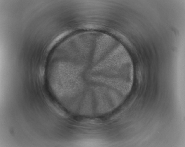 X0000113640488200910162040