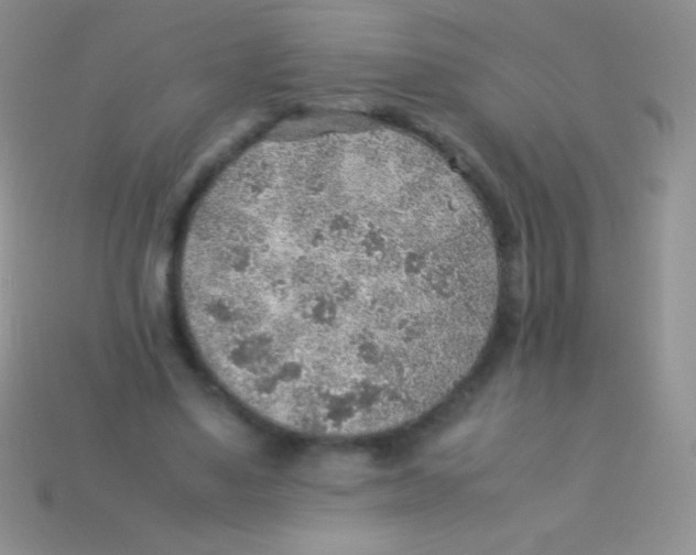 X0000113640491200910162040