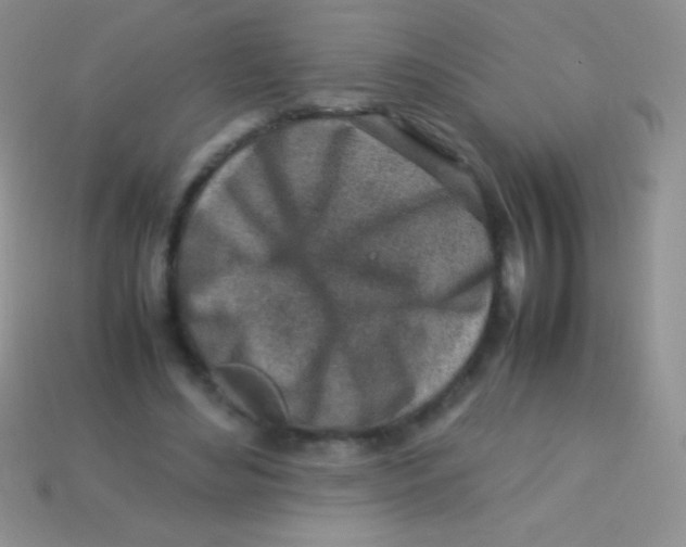 X0000113640492200910162040