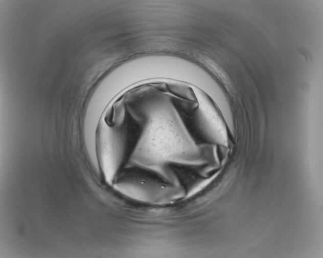 X0000113640493200910162040