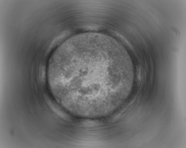 X0000113640494200910162040