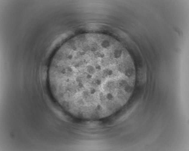 X0000113640495200910162040