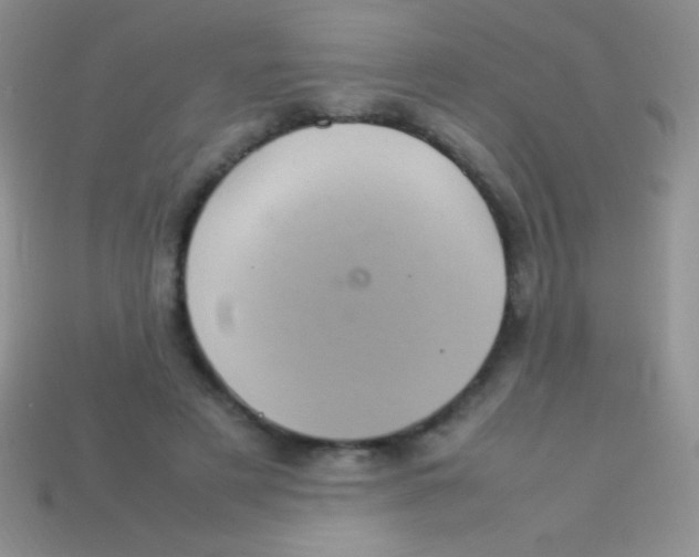 X0000113640497200910162040