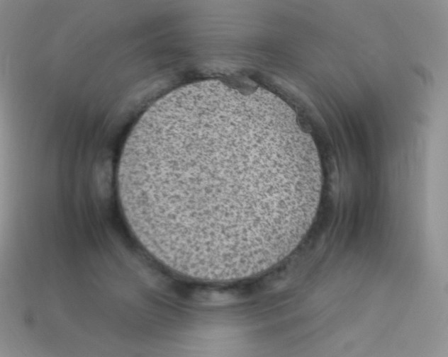 X0000113640498200910162040