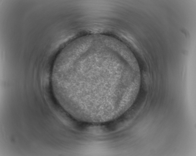 X0000113640499200910162040