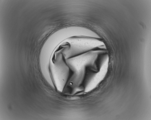 X0000113640501200910162040