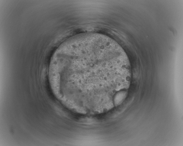 X0000113640503200910162040