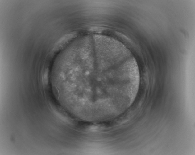 X0000113640504200910162040