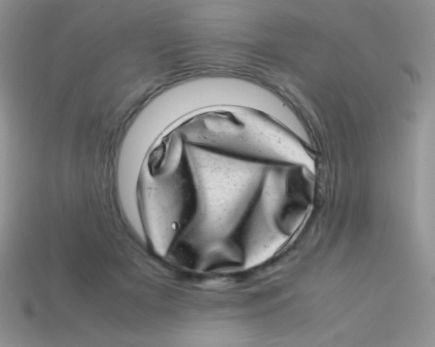 X0000113640505200910162040