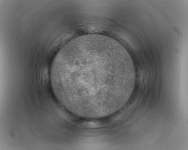 X0000113640506200910162040