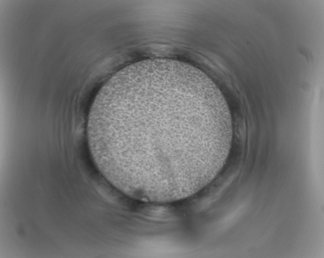 X0000113640507200910162040