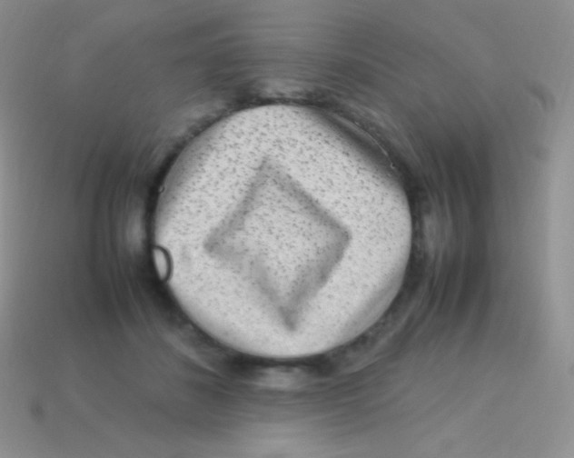 X0000113640508200910162040