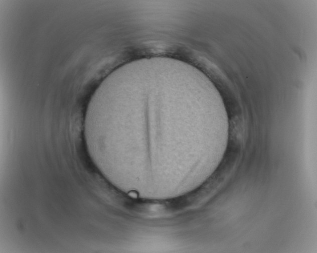 X0000113640509200910162040