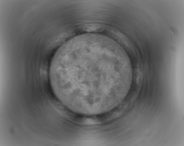 X0000113640510200910162040