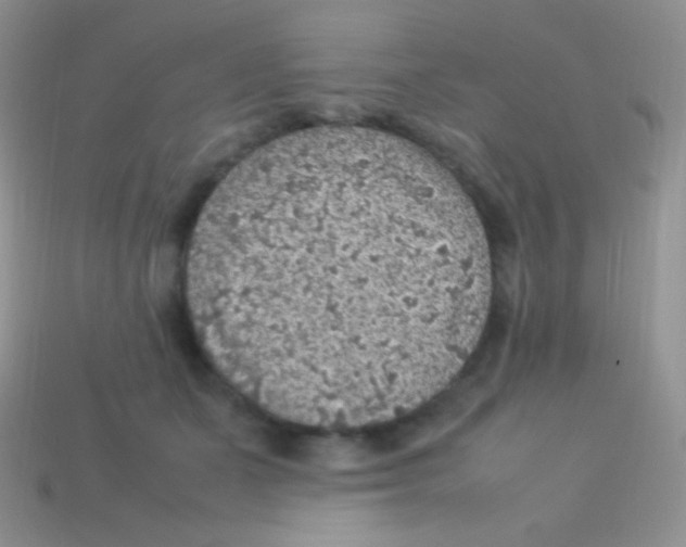 X0000113640511200910162040