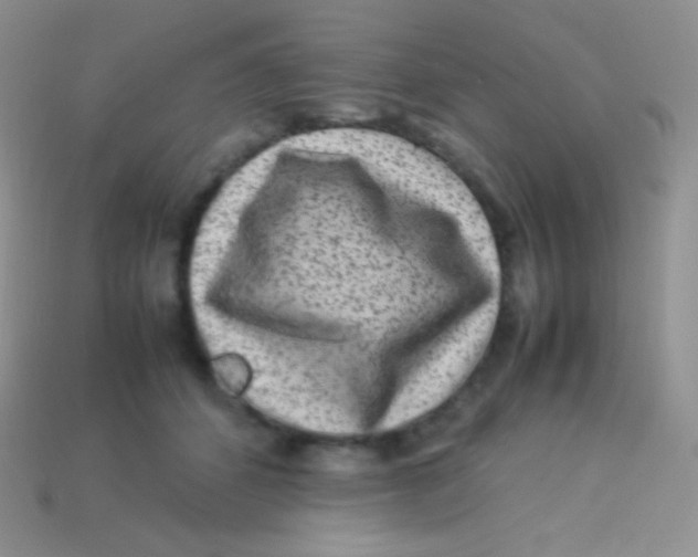 X0000113640512200910162040