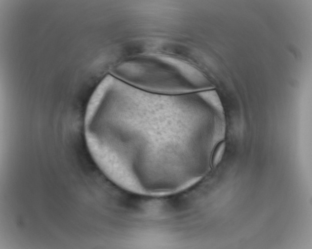 X0000113640513200910162040