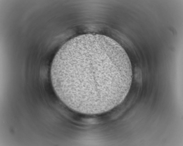 X0000113640514200910162040