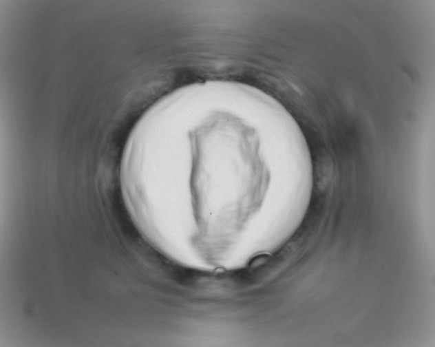 X0000113640515200910162040